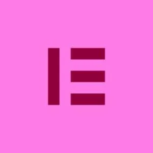 Elementor logo-web development services